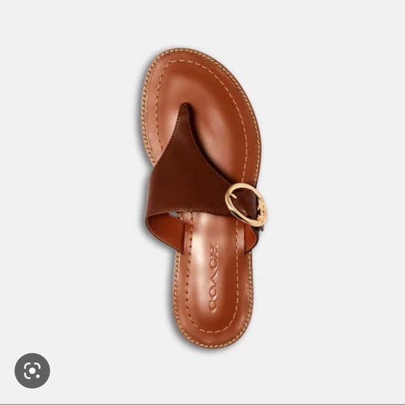 Coach Lesli Leather Sandals